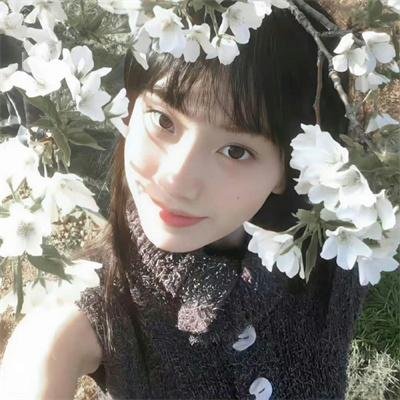 庙街故事 在线观看